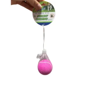 PELOTA DE TENIS PARA PERROS