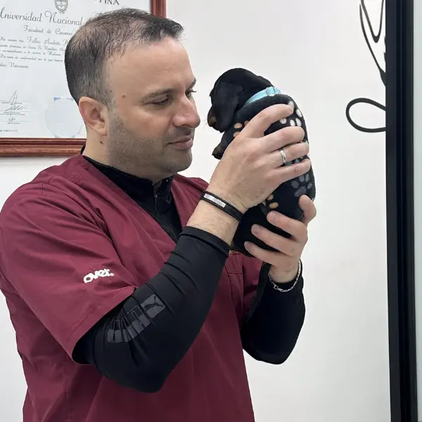 Fabio Piccoli - Veterinario Veterinario atendiendo a cachorro